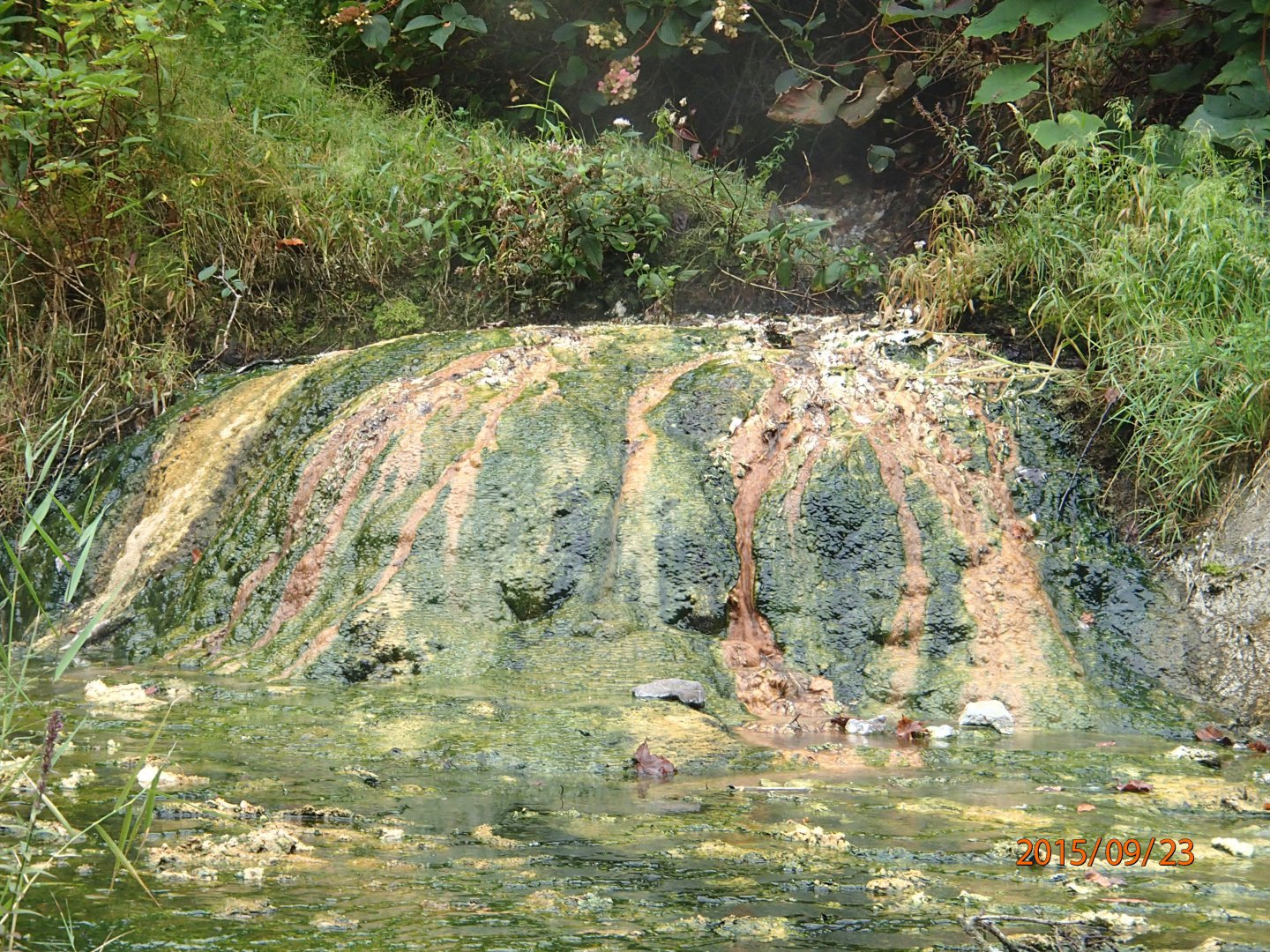 Безяева (841).JPG