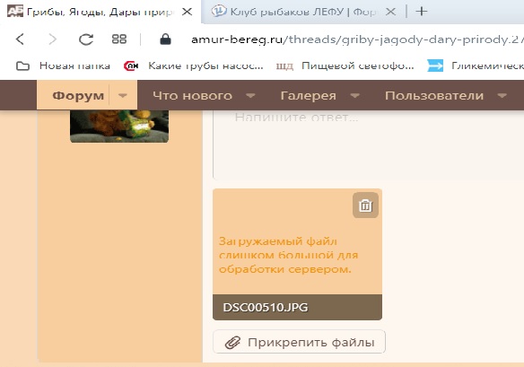 Безымянный.jpg