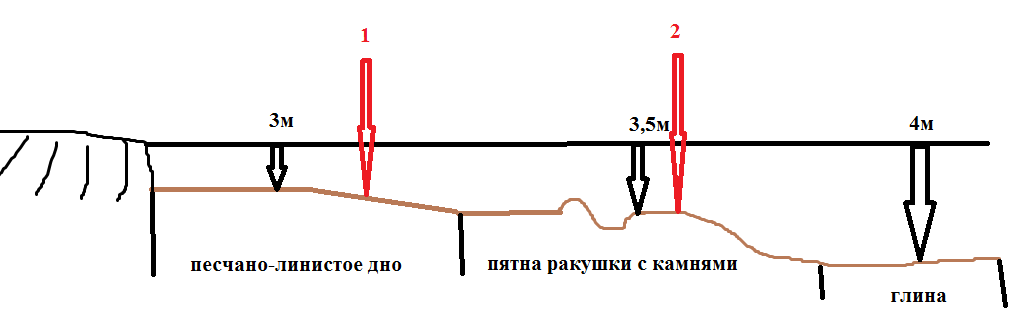 Безымянный.png