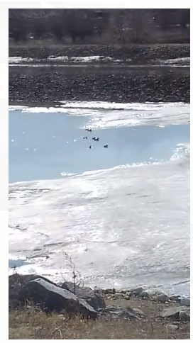 Безымянный.png
