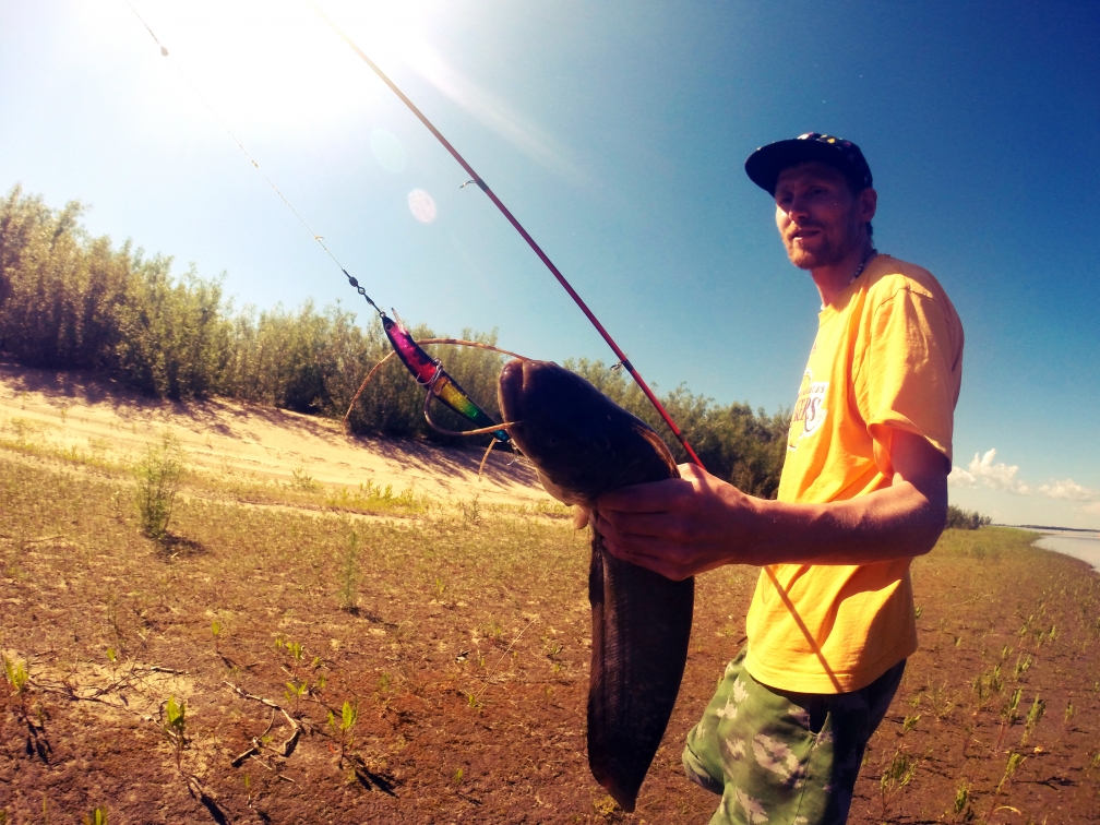 bfgbbb_1008x756.jpg