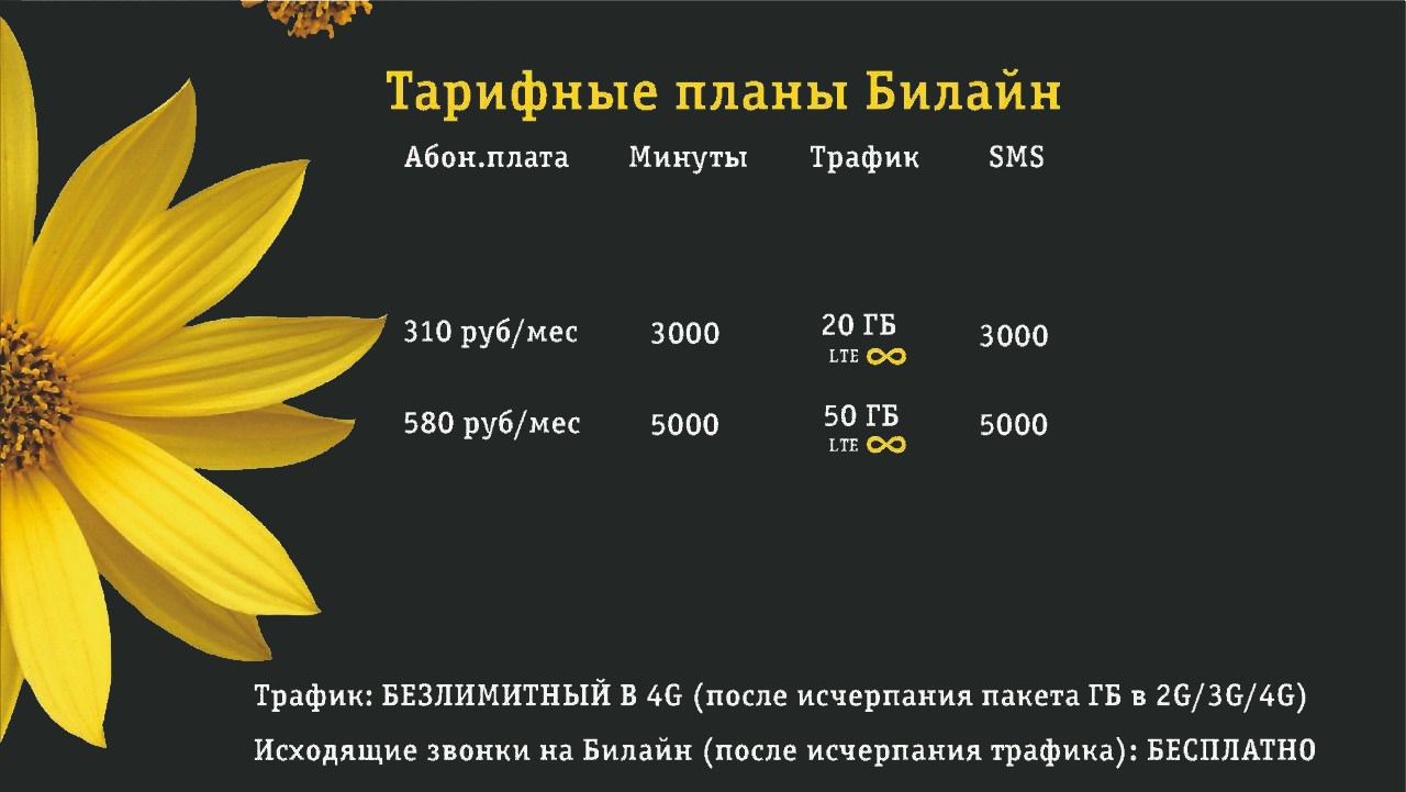 Билайн нов 2800.jpg