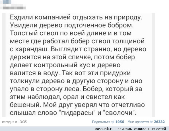 bober_i_derevo.jpg