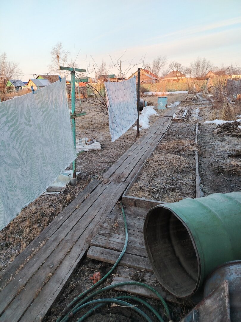 бочки огород.jpg