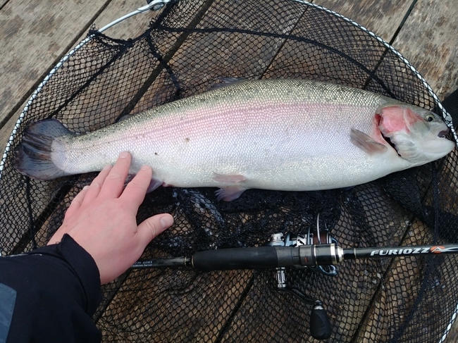 bol'shaja-forel'-blesna-dam-effzett-pro-trout.jpg