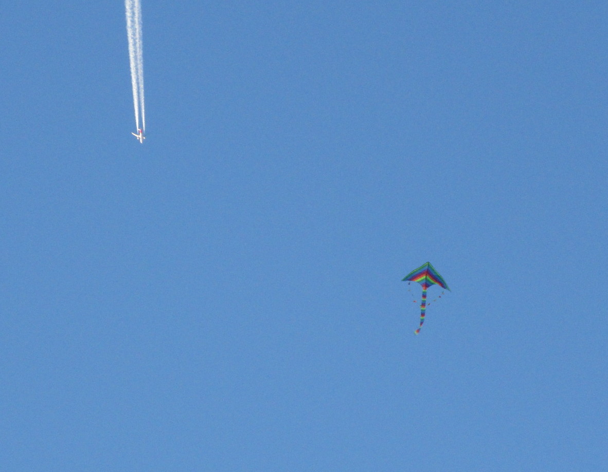 Большие и маленькие.JPG