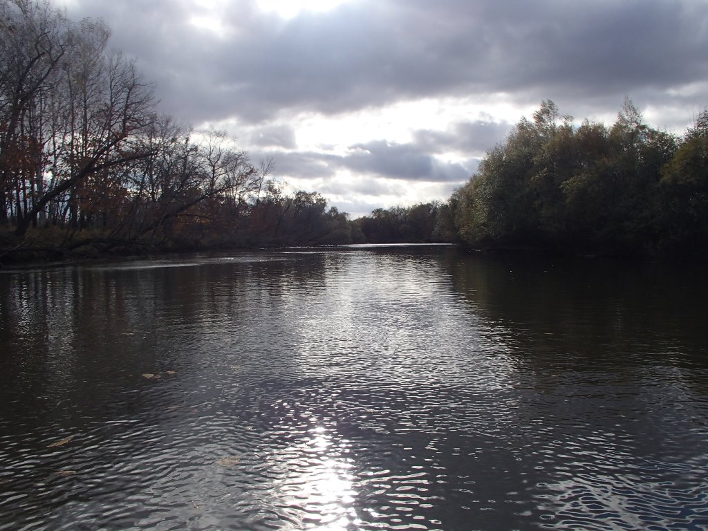 Большой Таймень..JPG