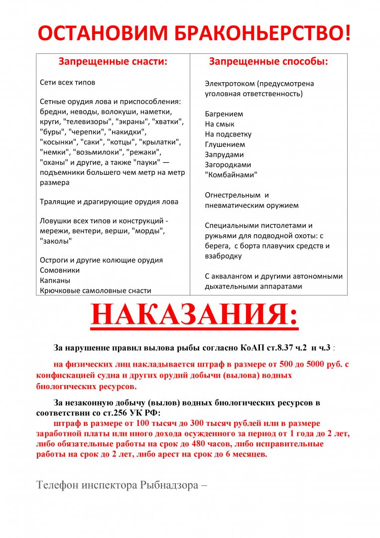 braki8.jpg