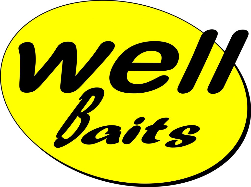 бренд-WELL-Baits-окончательный-1024x765.jpg