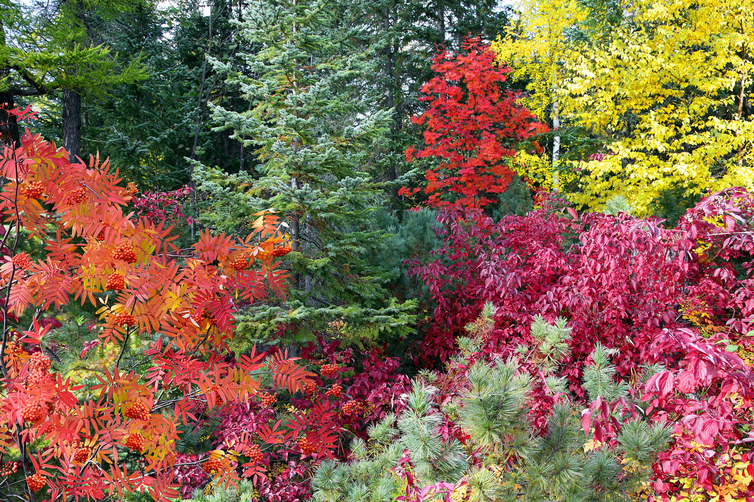 Буйство красок_новый размер.jpg