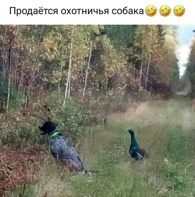 бж.jpg