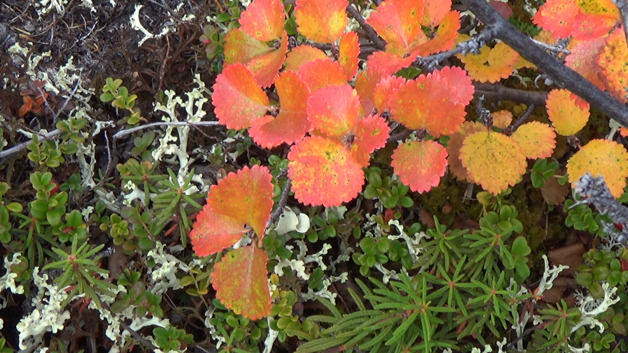 C0129T01.JPG