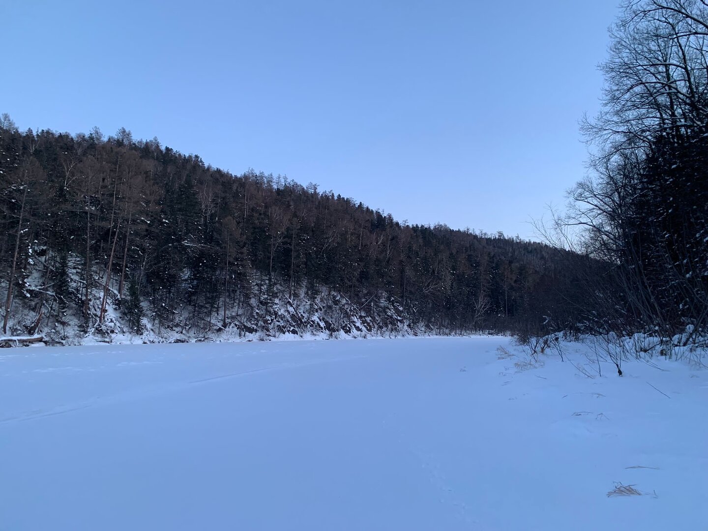 C2671F79-1309-40E6-B7A2-F4868BC76DE8.jpeg