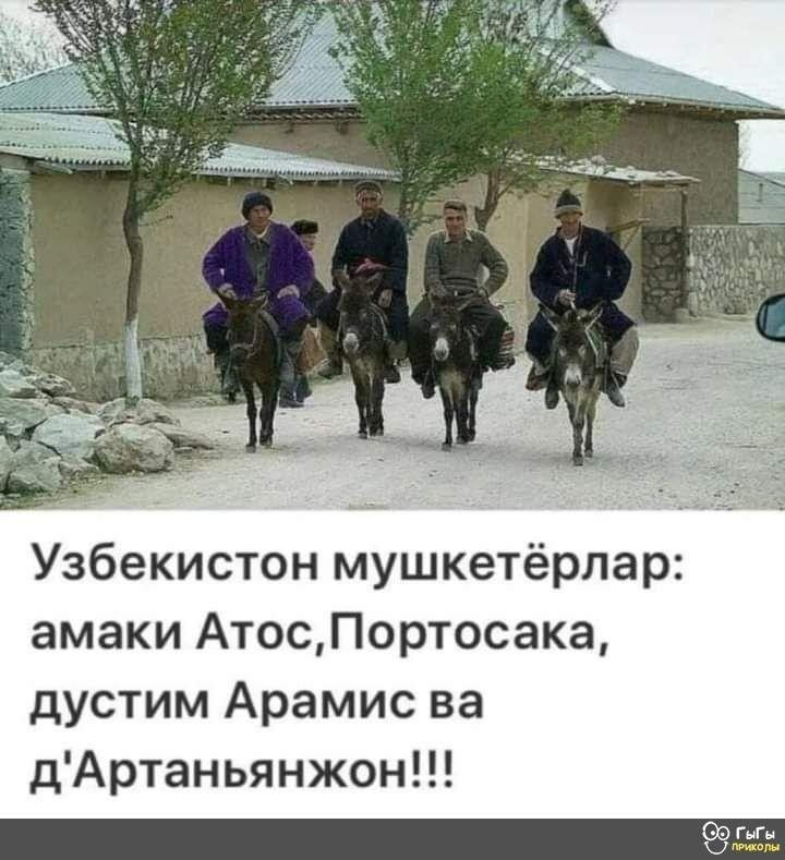 c2cd73126812def7afcbf452f68529c0.jpg
