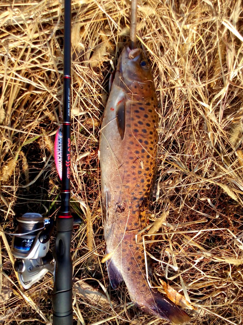 C360_2017-10-24-21-11-04-115.jpg
