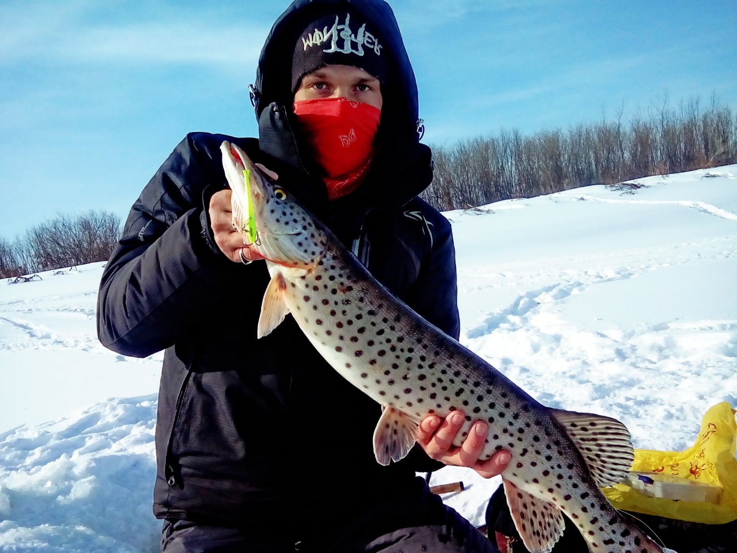 C360_2018-02-06-19-59-56-284.jpg C360_2018-02-06-19-59-56-284.jpg