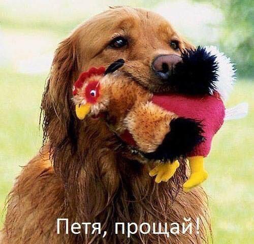 C48E64E9-823A-499B-AED2-0530F61C6A0F.jpeg