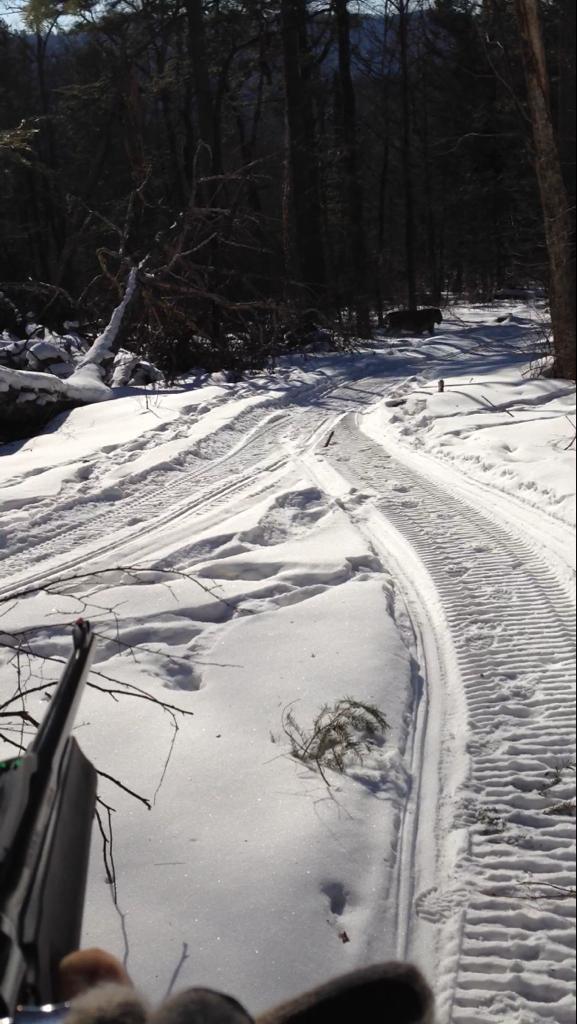 C5F150CC-BABF-452D-A7D3-EA59FA38DA75.jpeg