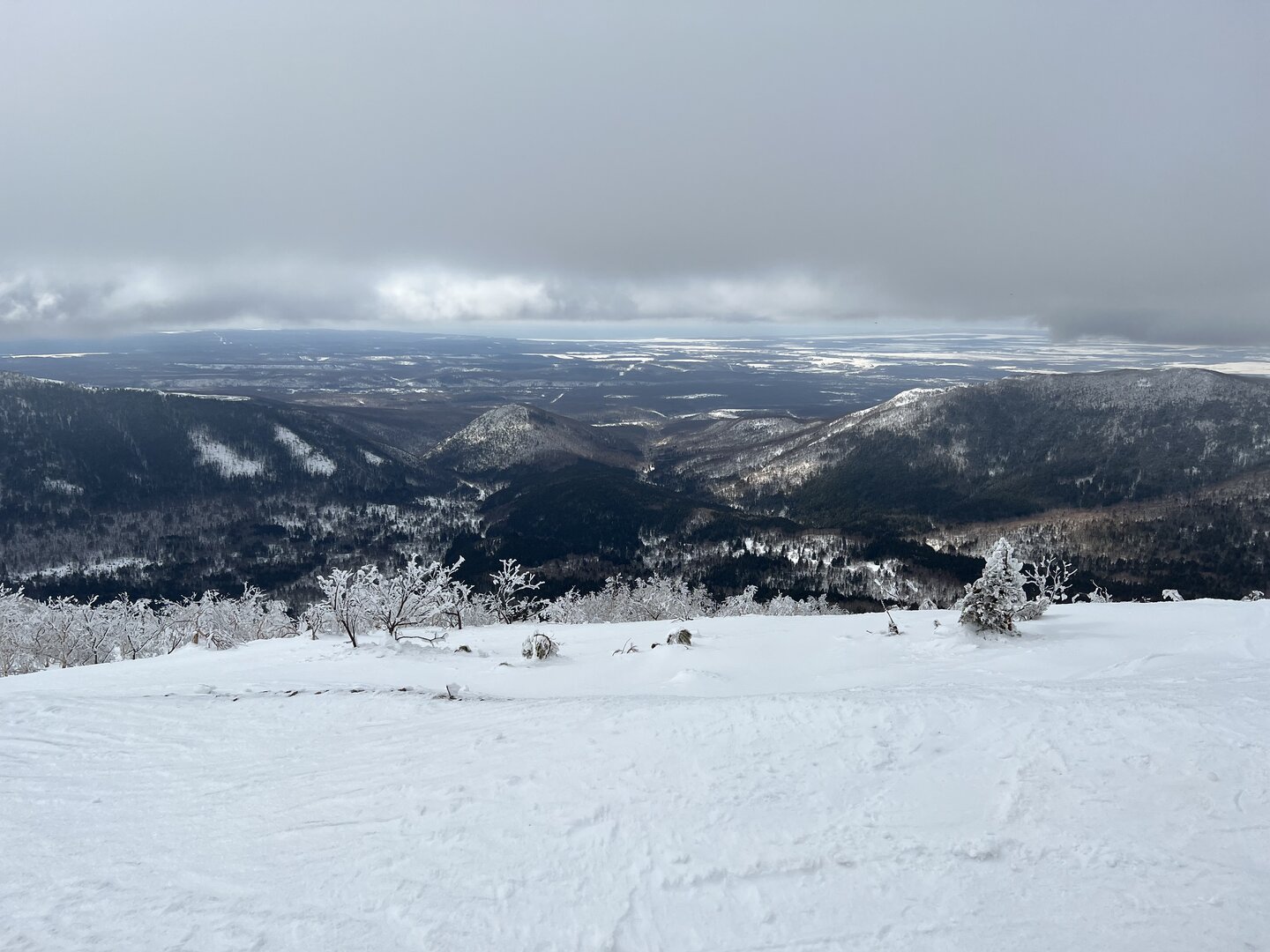 C601B2E0-5B03-483E-A914-2FE0960029CC.jpeg