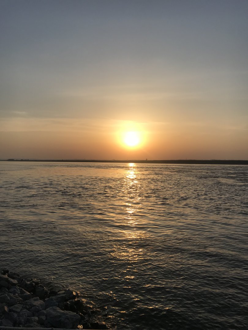 C70D6575-5F83-4707-BD2D-E413FDBEA82D.jpeg