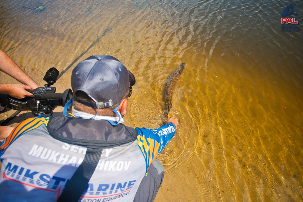 c719ec24d60eae14e7472d283ae92032.jpg