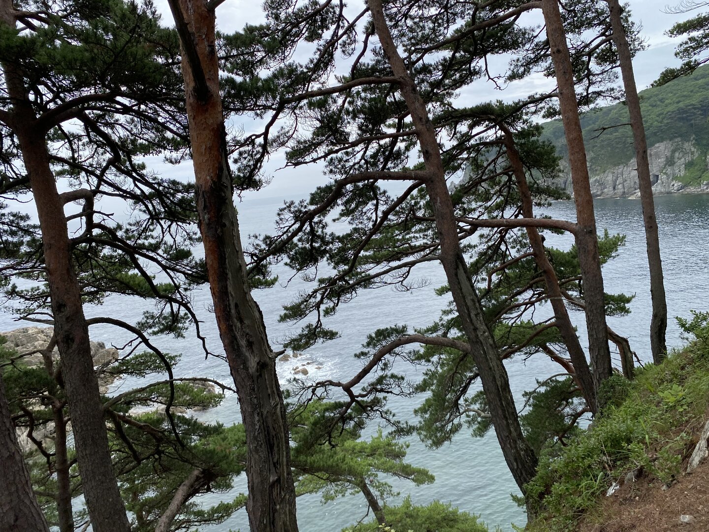 C71F4155-EA5F-4FE8-B533-C93A11C595E0.jpeg
