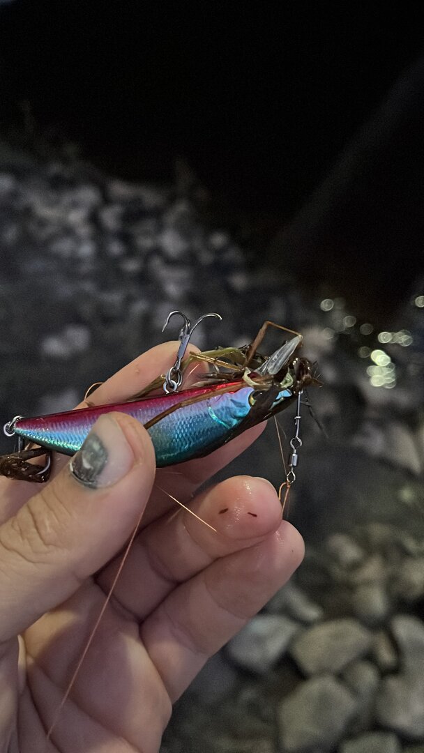 C987B7BF-708D-4AF4-8E4C-94B8267809FA.jpeg C987B7BF-708D-4AF4-8E4C-94B8267809FA.jpeg