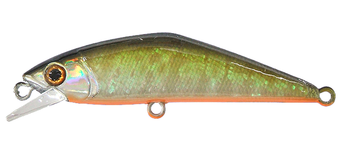 c_02 (2).png