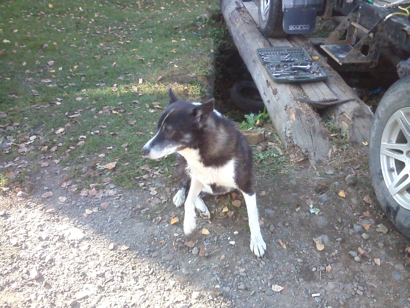 CAM00050.jpg