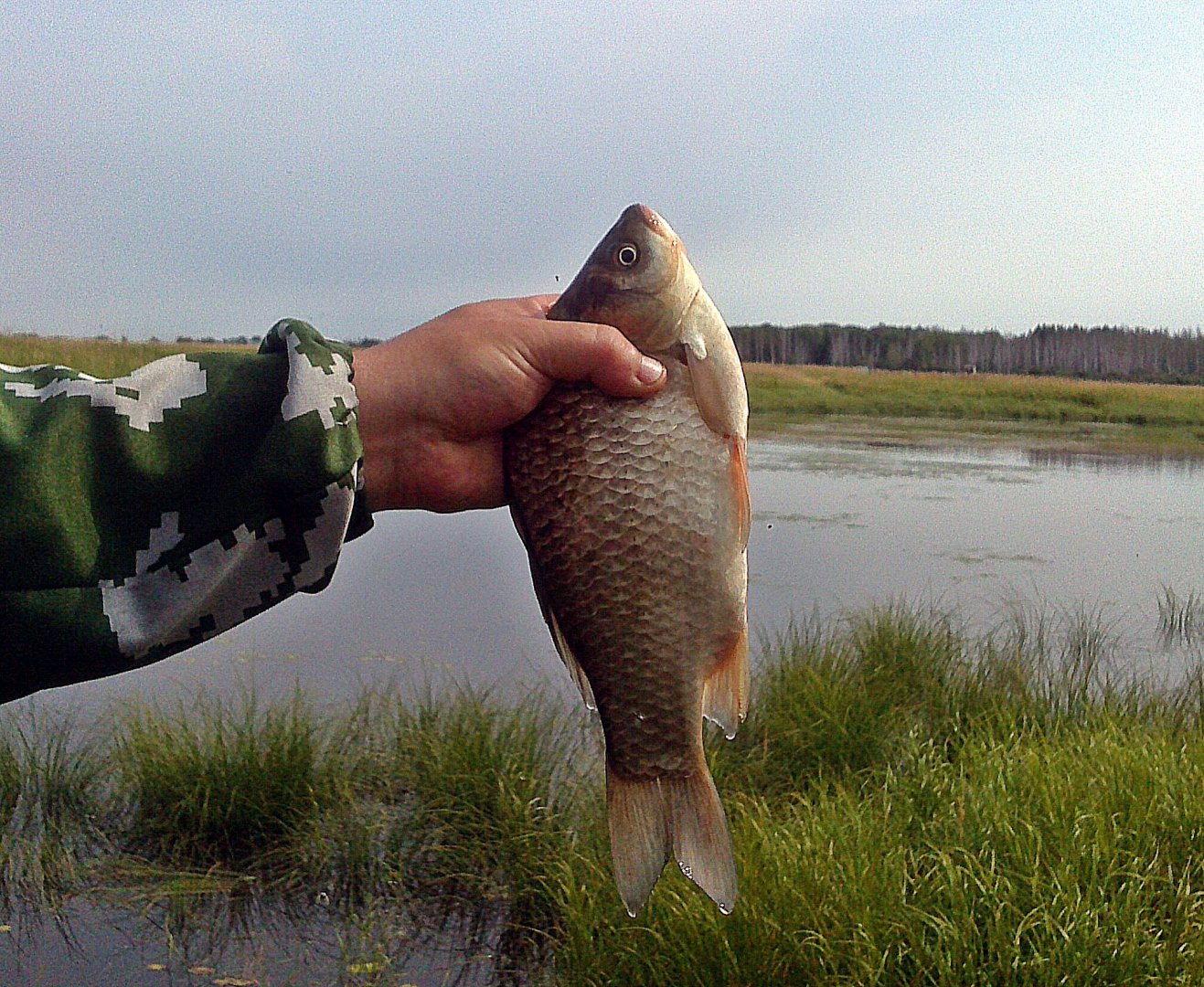 CAM00918.jpg