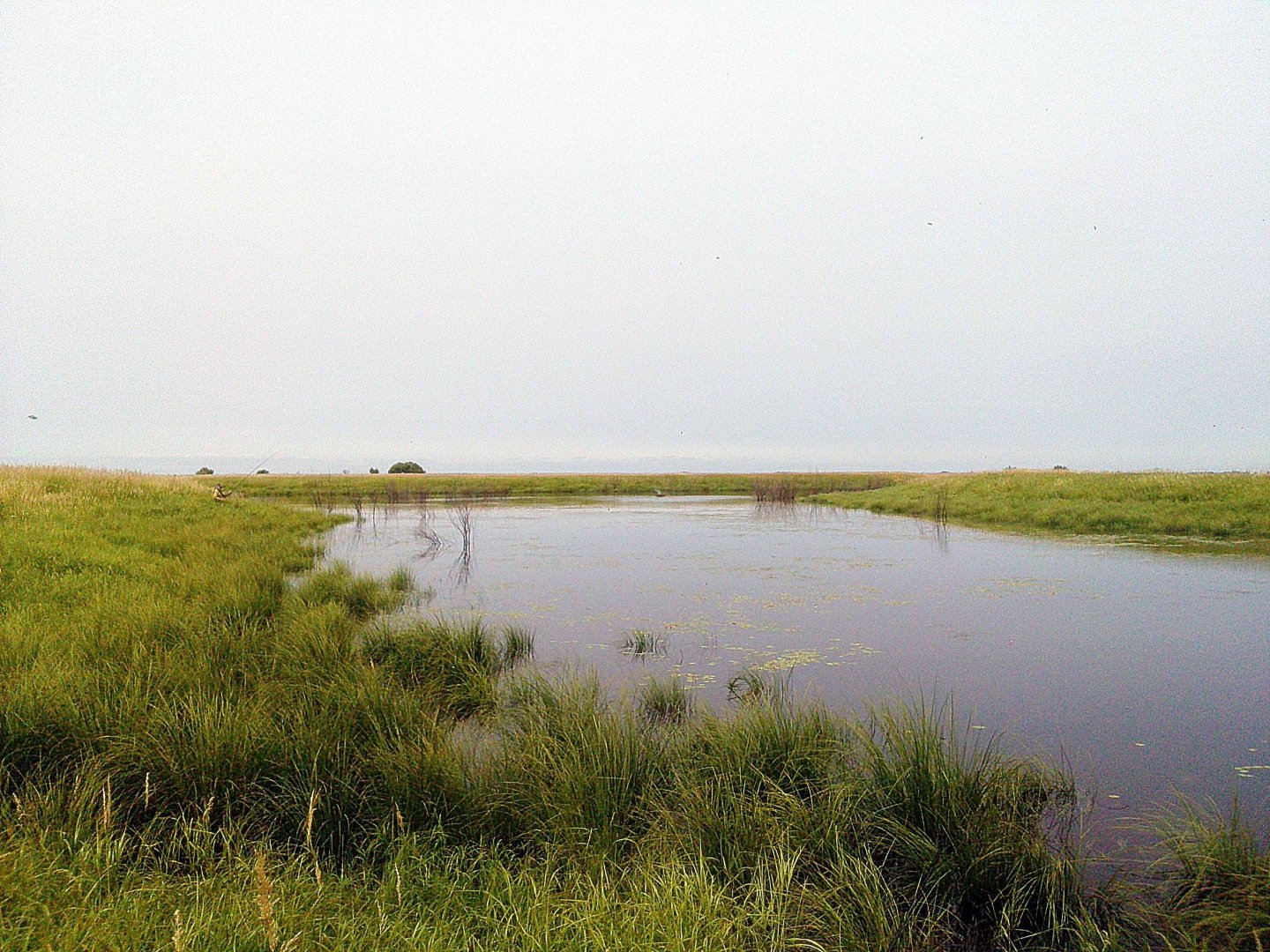 CAM00923.jpg