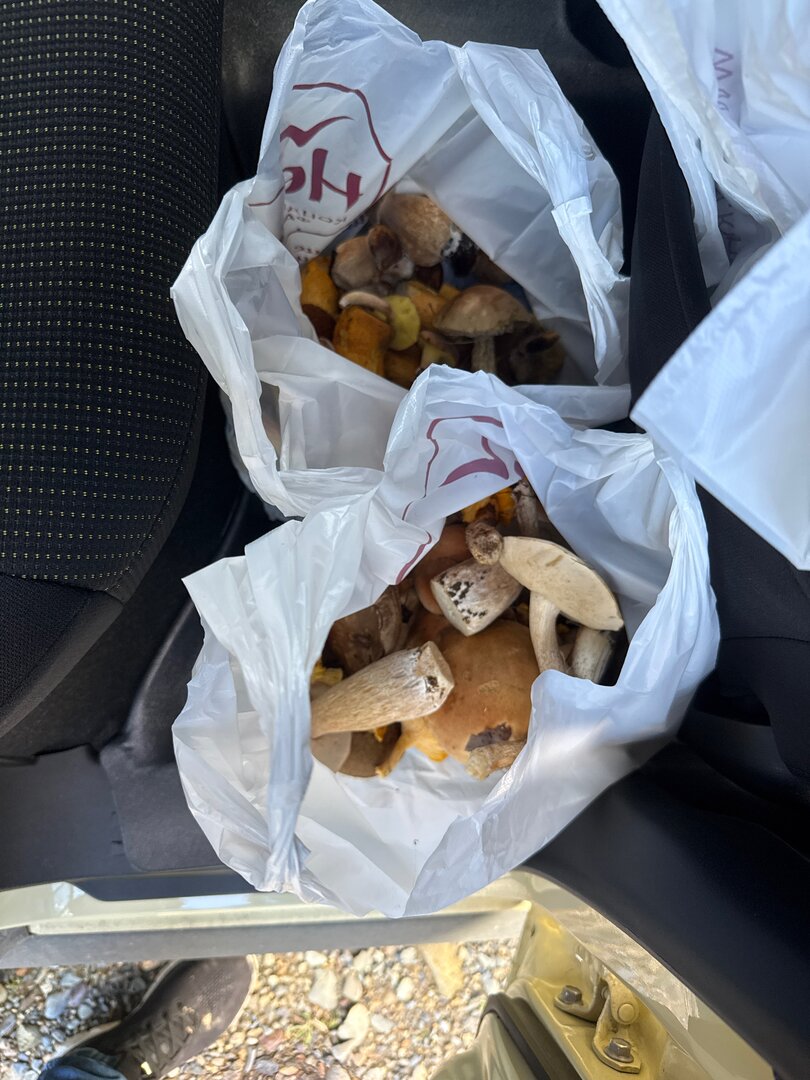 camphoto_725123414.jpeg