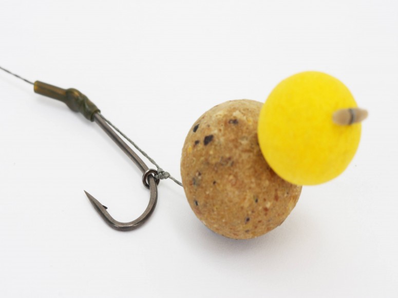 carp_boill.jpg