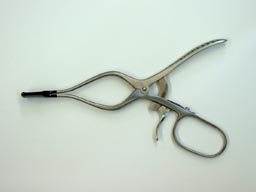 cdx1.jpg