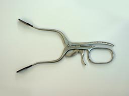 cdx2.jpg