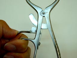 cdx4.jpg