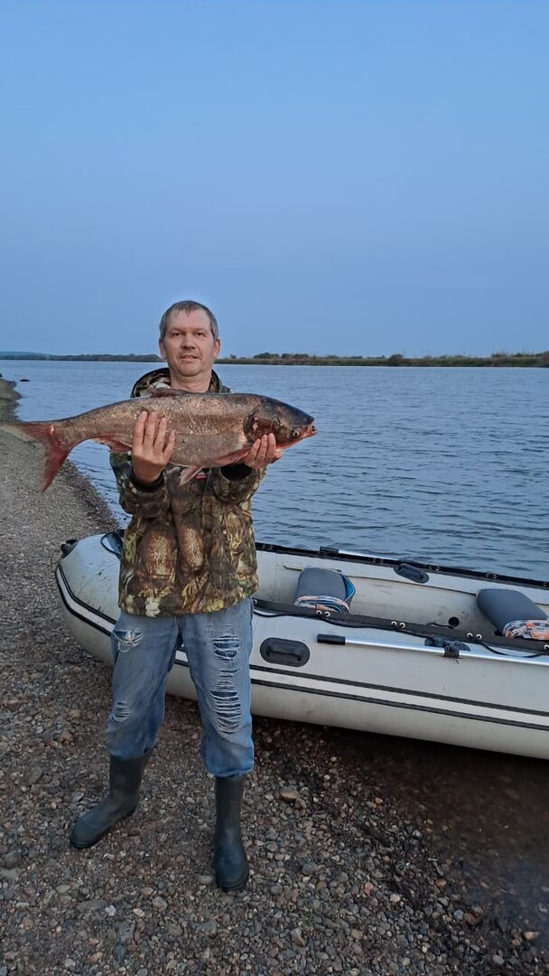 cef42432-675e-4dad-a927-c661c4de61db.jpg