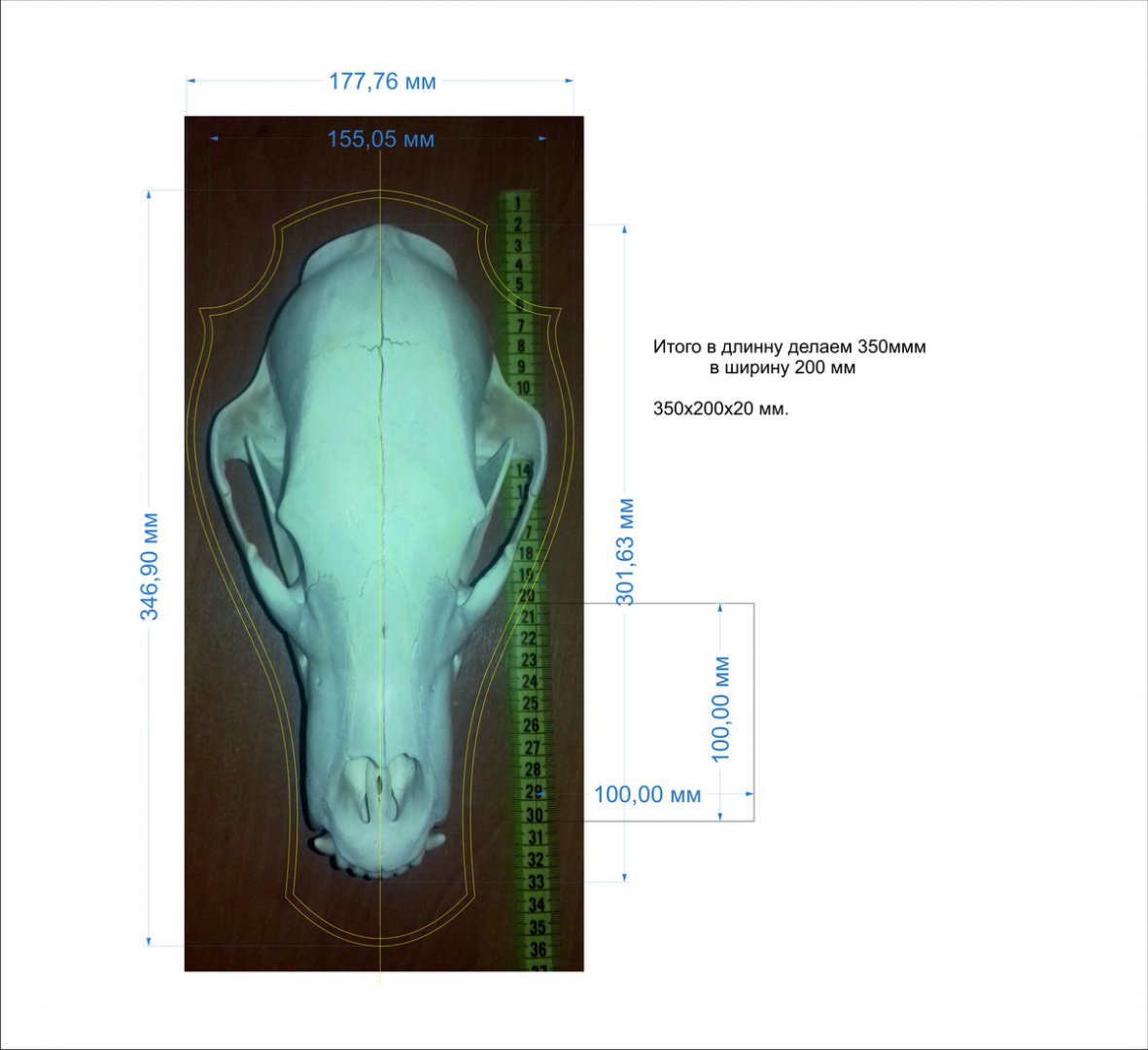 Чертеж медведь.jpg