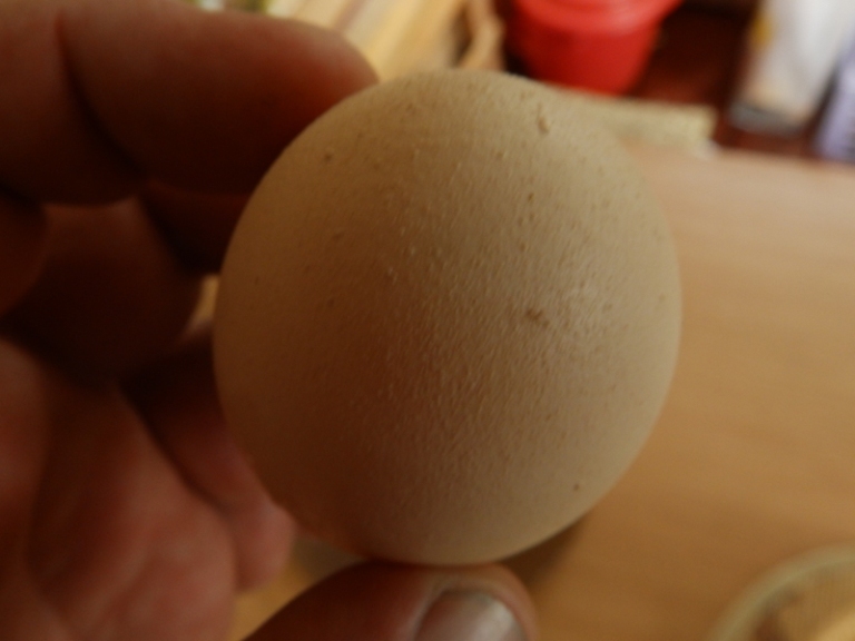 чистое яйцо.JPG