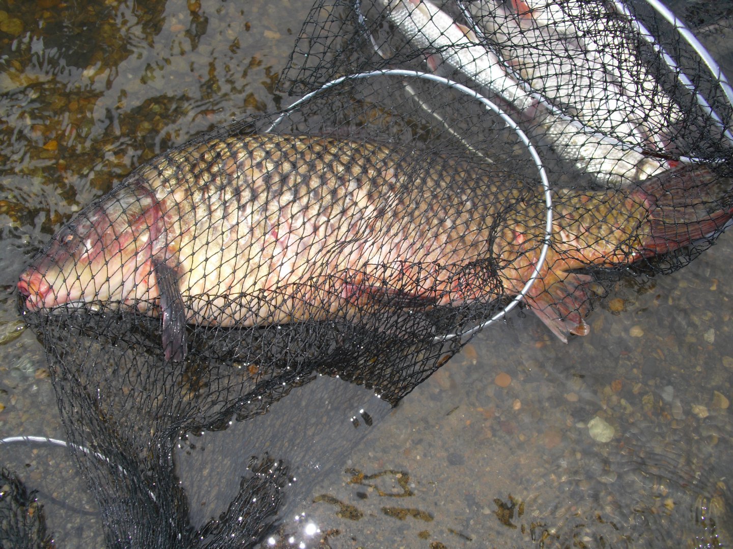 CIMG5761.JPG