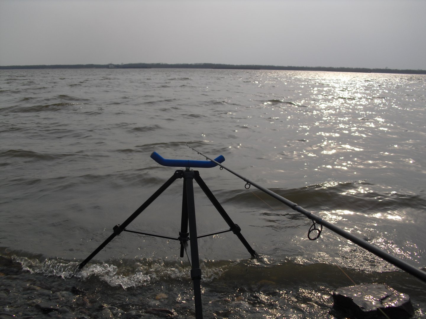 CIMG5870.JPG