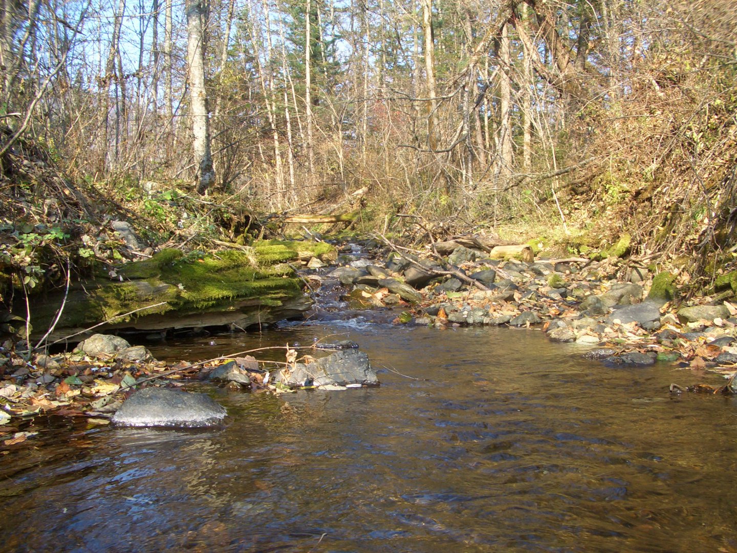 CIMG9025.JPG