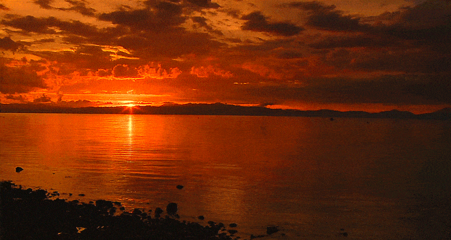 cinemagraph-sunset.gif