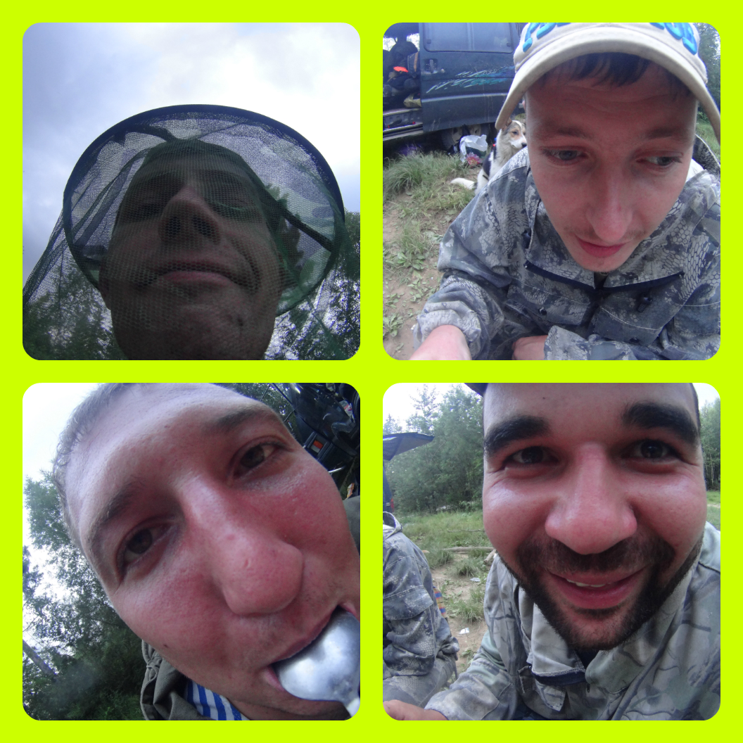 collage_photocat.jpg