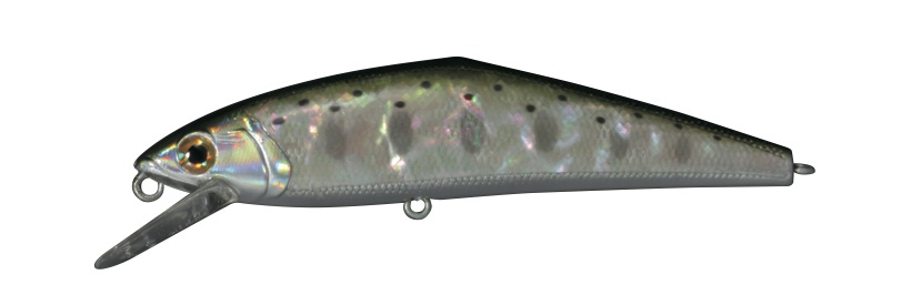 D-Contact 85 Awabi_01.jpg