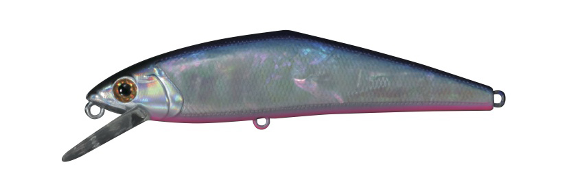 D-Contact 85 Awabi_02.jpg