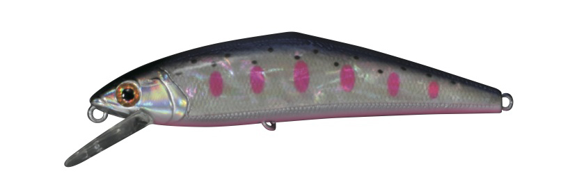 D-Contact 85 Awabi_03.jpg