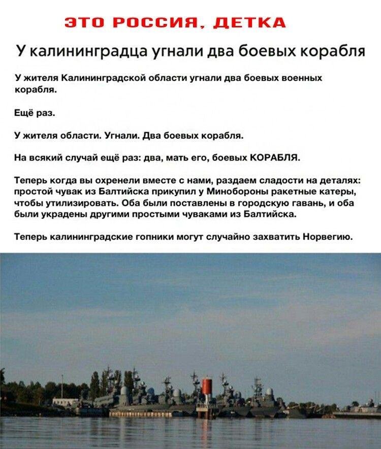 d9.jpg