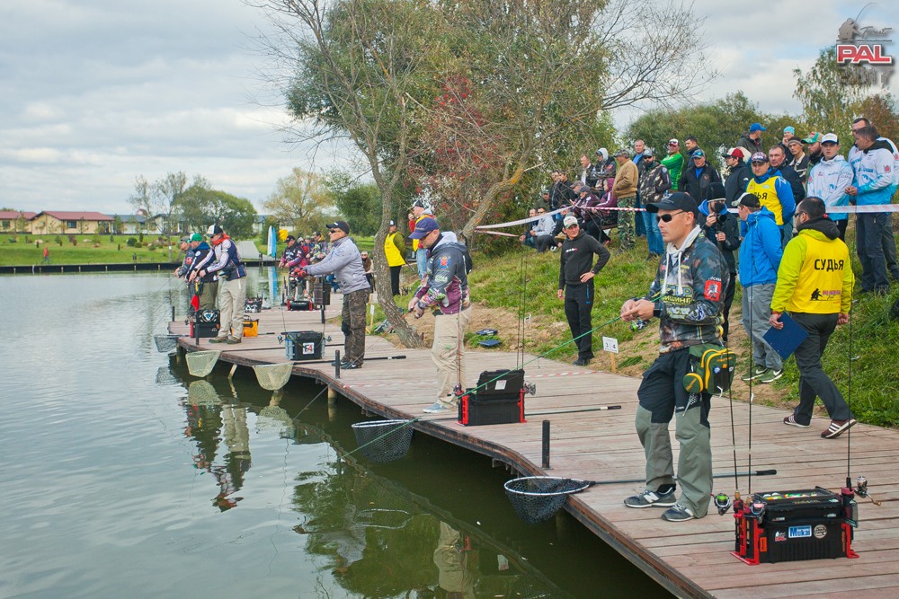 db3d389e9f5524b18aa1e943d42782eb (1).jpg