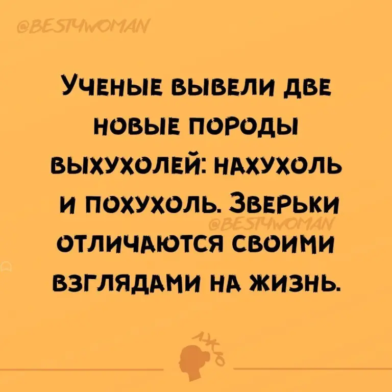 ддл-0.png